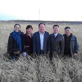 2014年與溫中申博士(留學日本)合作鹽堿地改良并重建土壤生態(tài)系統(tǒng)示范試驗(圖5) 2014年與溫中申博士(留學日本)合作鹽堿地改良并重建土壤生態(tài)系統(tǒng)示范試驗(圖5)