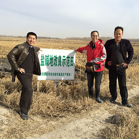 2014年與溫中申博士(留學日本)合作鹽堿地改良并重建土壤生態(tài)系統(tǒng)示范試驗(圖6) 2014年與溫中申博士(留學日本)合作鹽堿地改良并重建土壤生態(tài)系統(tǒng)示范試驗(圖6)