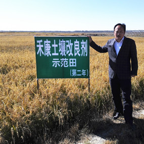 鹽堿地種植水稻當年取得成功—2014年吉林省鎮(zhèn)賚縣電視臺新聞報道(圖2) 鹽堿地種植水稻當年取得成功—2014年吉林省鎮(zhèn)賚縣電視臺新聞報道(圖2)