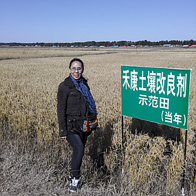 鹽堿地種植水稻當年取得成功—2014年吉林省鎮(zhèn)賚縣電視臺新聞報道(圖3) 鹽堿地種植水稻當年取得成功—2014年吉林省鎮(zhèn)賚縣電視臺新聞報道(圖3)