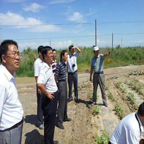 2013年河北張家口尚義縣領(lǐng)導(dǎo)及專家到新疆伊犁考察鹽堿地應(yīng)用禾康項(xiàng)目(圖3) 2013年河北張家口尚義縣領(lǐng)導(dǎo)及專家到新疆伊犁考察鹽堿地應(yīng)用禾康項(xiàng)目(圖3)