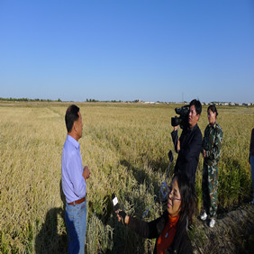 2011年央視7套記者王洪明赴內(nèi)蒙古科右中旗采訪鹽堿地改良種稻全紀(jì)錄(圖4) 2011年央視7套記者王洪明赴內(nèi)蒙古科右中旗采訪鹽堿地改良種稻全紀(jì)錄(圖4)