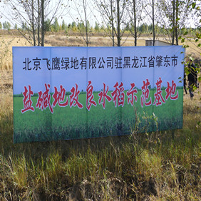 2011年央視7套記者王洪明赴黑龍江肇東采訪鹽堿地改良種稻全紀(jì)錄(圖1) 2011年央視7套記者王洪明赴黑龍江肇東采訪鹽堿地改良種稻全紀(jì)錄(圖1)