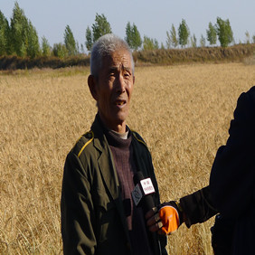 2011年央視7套記者王洪明赴黑龍江肇東采訪鹽堿地改良種稻全紀(jì)錄(圖3) 2011年央視7套記者王洪明赴黑龍江肇東采訪鹽堿地改良種稻全紀(jì)錄(圖3)