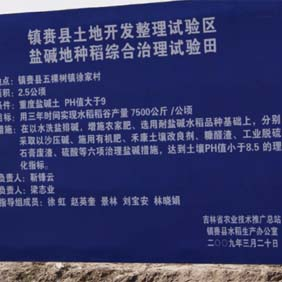 2009年吉林西部土地開發(fā)項目現(xiàn)場會(圖4) 2009年吉林西部土地開發(fā)項目現(xiàn)場會(圖4)