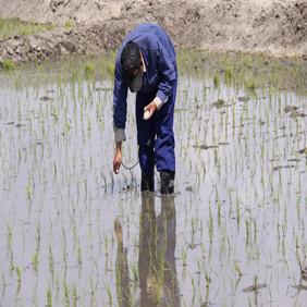 2009年吉林西部土地開發(fā)項目現(xiàn)場會(圖3) 2009年吉林西部土地開發(fā)項目現(xiàn)場會(圖3)