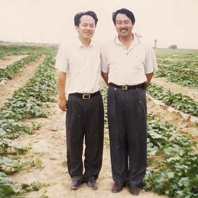 2000年新疆哈密西戈壁開(kāi)發(fā)區(qū)鹽堿地改良種植哈密瓜(圖8) 2000年新疆哈密西戈壁開(kāi)發(fā)區(qū)鹽堿地改良種植哈密瓜(圖8)