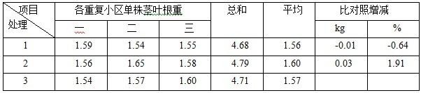 鹽堿地種植加工番茄施用禾康試驗(yàn)（新疆昌吉，番茄）(圖6)
