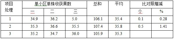鹽堿地種植加工番茄施用禾康試驗(yàn)(新疆昌吉,番茄)(圖5) 鹽堿地種植加工番茄施用禾康試驗(yàn)(新疆昌吉,番茄)(圖5)