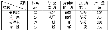 鹽堿地種小麥禾康改良試驗(新疆克拉瑪依,小麥)(圖1) 鹽堿地種小麥禾康改良試驗(新疆克拉瑪依,小麥)(圖1)
